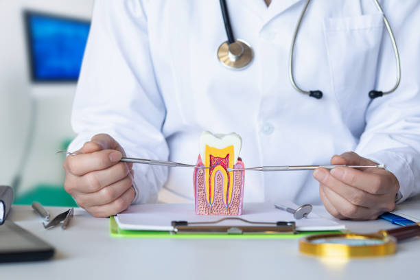 Best Knocked-Out Tooth Emergency  in North Bend, OH